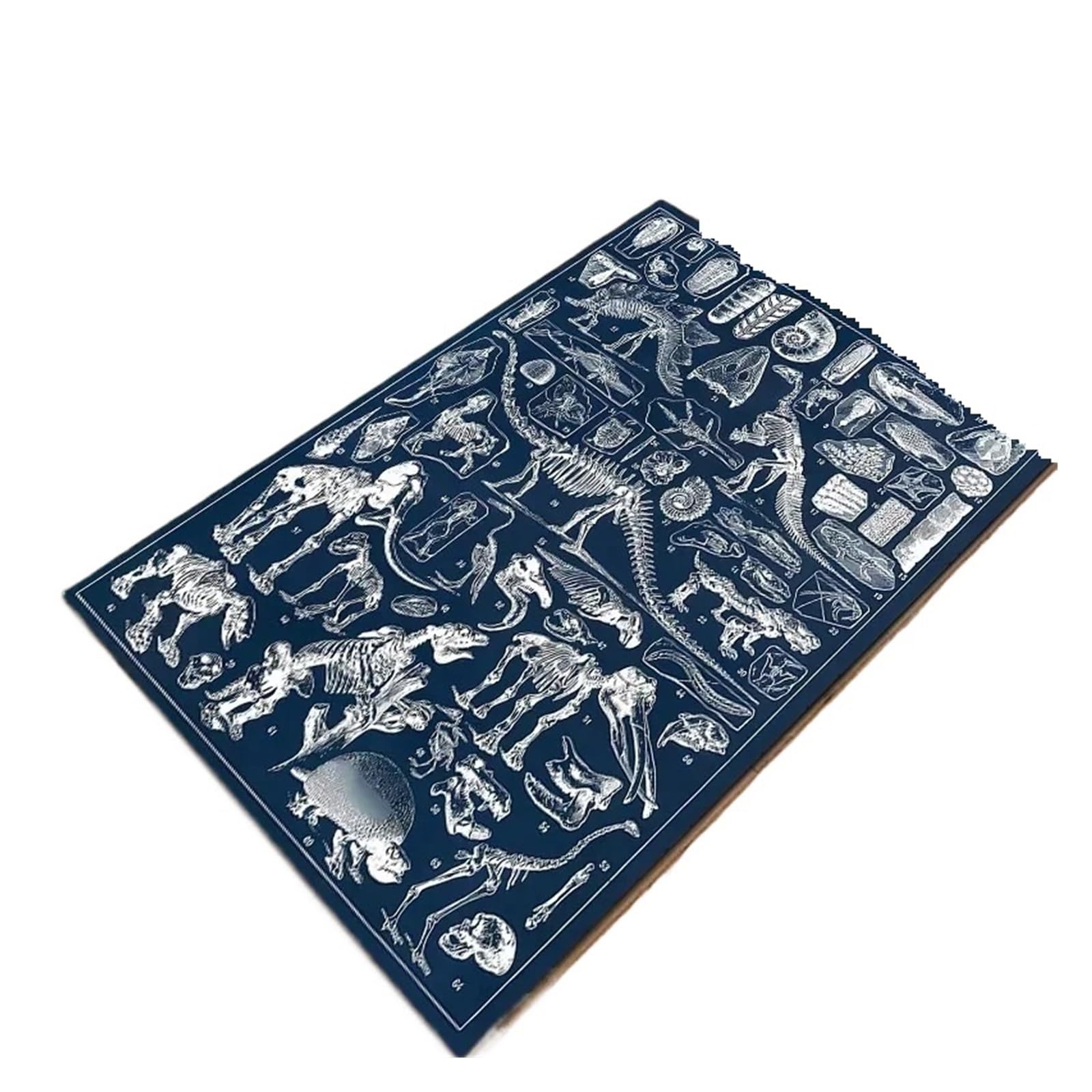 Tapis dinosaure 3D antidérapant grand confort salon et chambre enfant