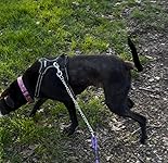 Review Image by Amazon Customer