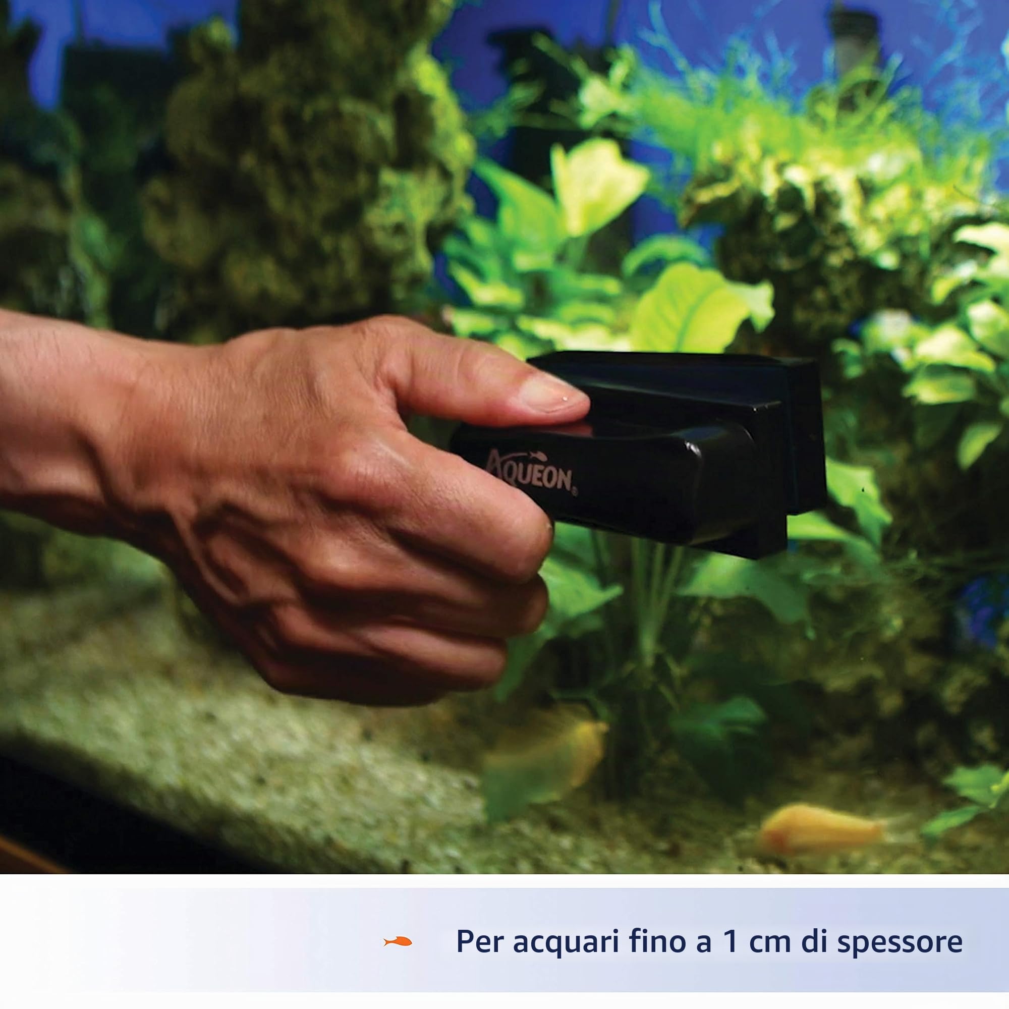Aqueon Raschietto per alghe dell'acquario, magneti per la pulizia dell'acquario, per vetro/acrilico, medio