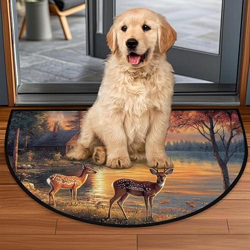 Miniatura 62 de Pardick Money - Tapete semicircular de billete de 100 dólares, antideslizante, duradero, lavable, para sala de estar, dormitorio