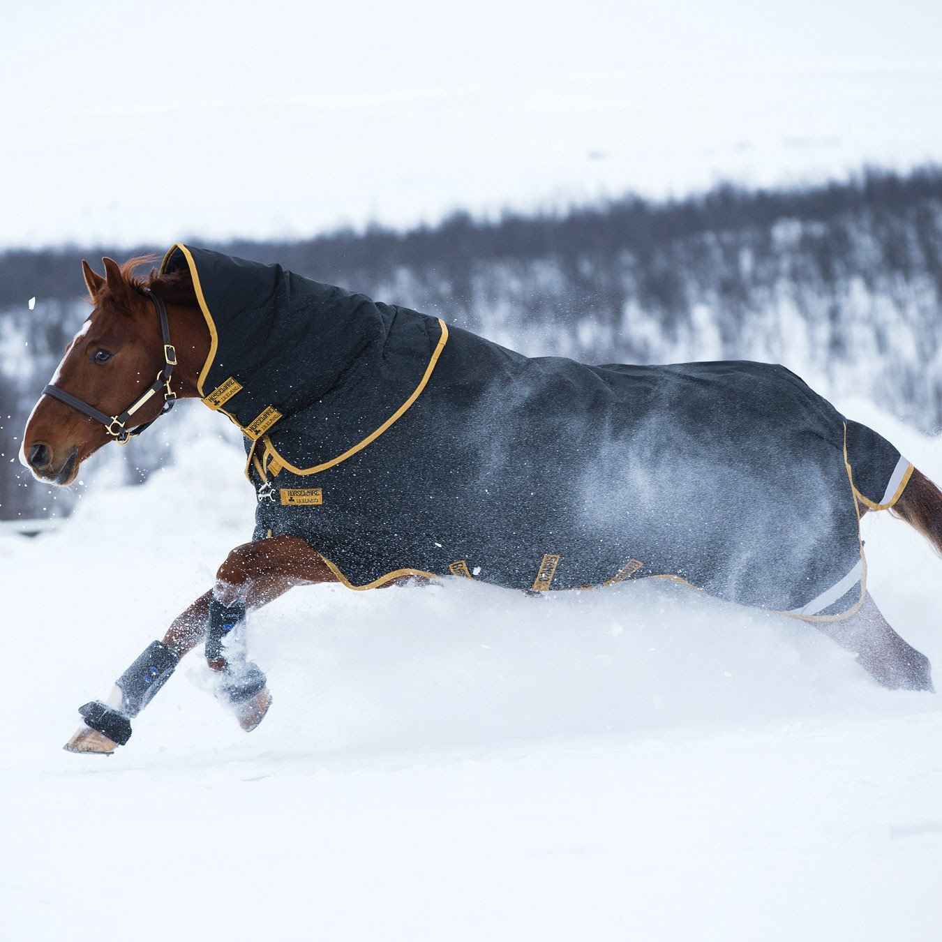 Horseware Rambo Original Turnout Medium 200g - Marine/Rouge