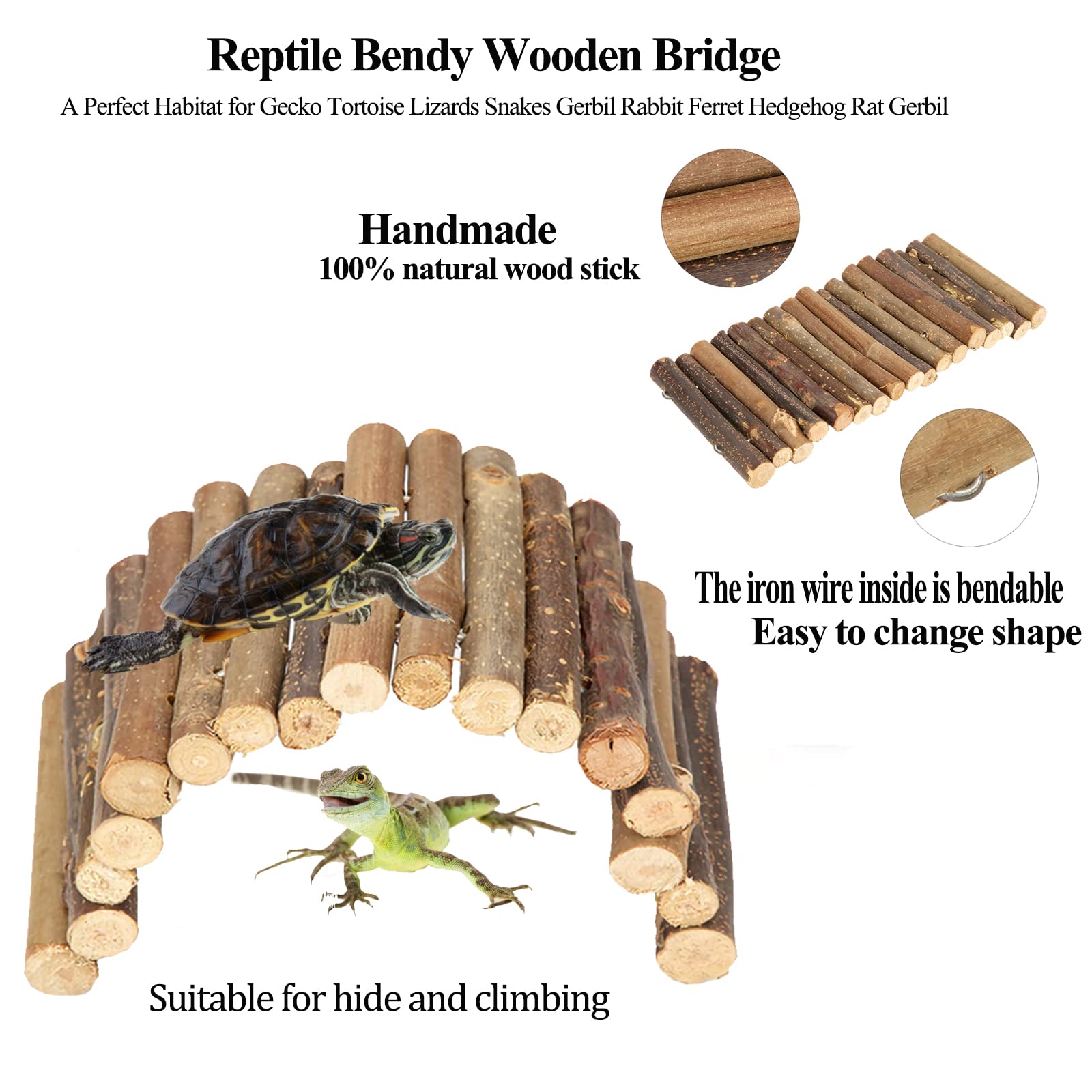 Popsicle Stick Reptile Hide ubicaciondepersonas.cdmx.gob.mx