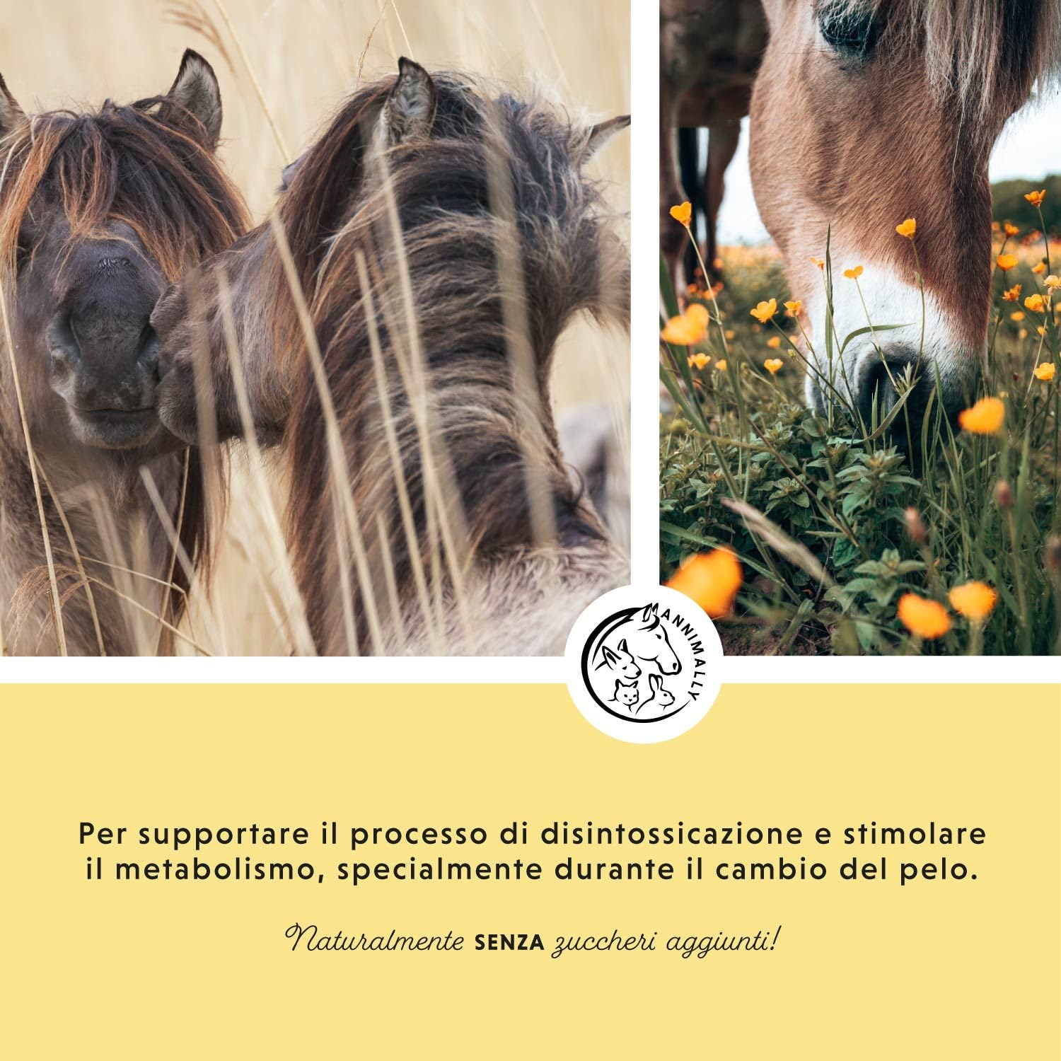 Liquido Fegato e Reni per Cavalli - Succo di erbe da 1000ml con Cardo Mariano e Carciofo per il fegato - Succo per i reni per un metabolismo sano nel cavallo