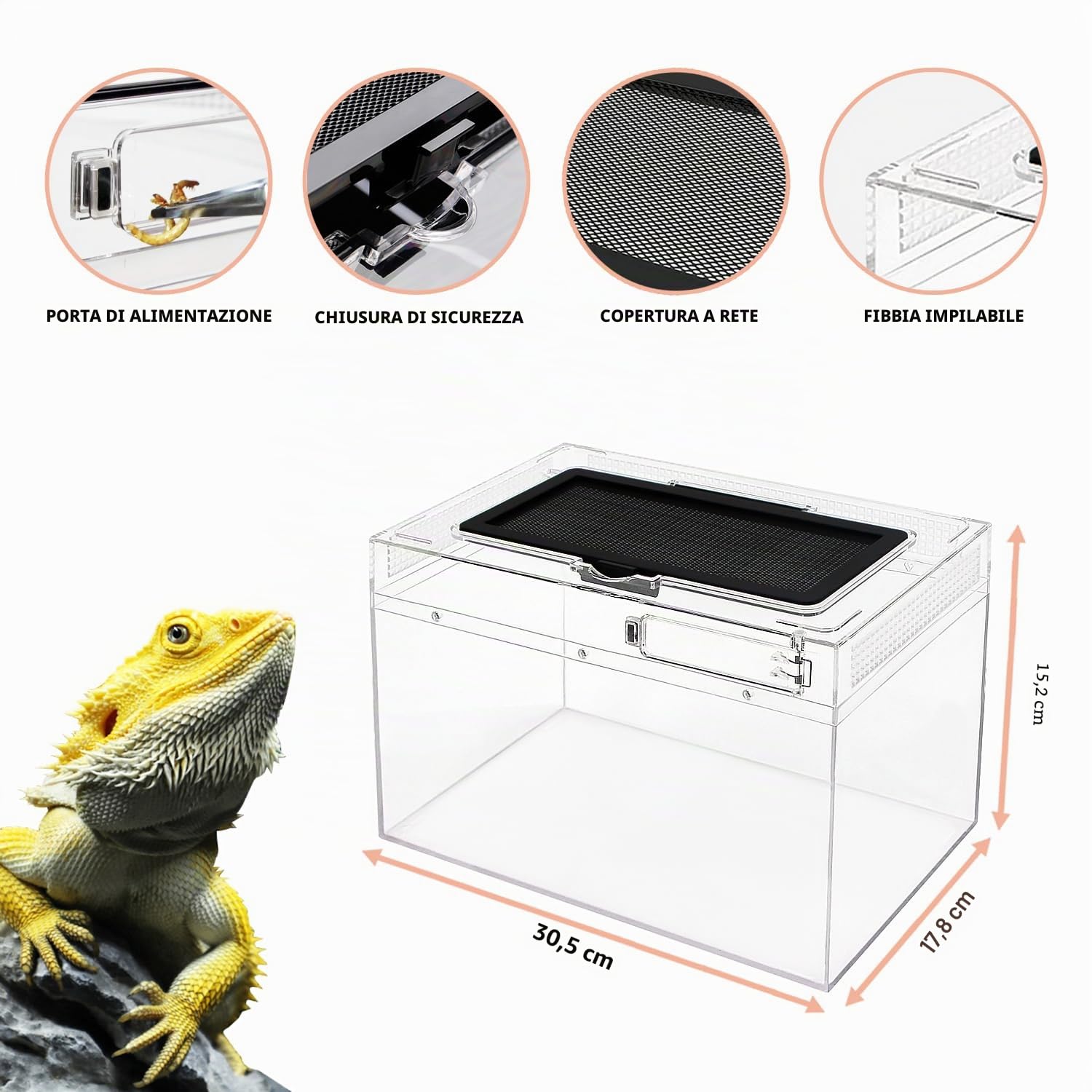 Reptile Growth Terrario Kit, 12" x 7"x 6" PC terrarium con vista completa visivamente accattivante, PC terrario rettili per Geco leopardino Drago barbuto Ragno lumaca insetto tarantola serpente