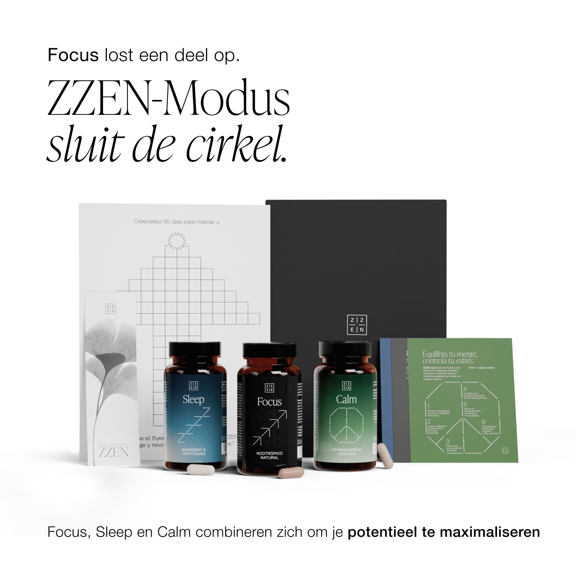 ZZEN FOCUS - Nootropic & Brain Komplex für Gedächtnis, Konzentration & Energie | 60 Kapseln mit Koffein, L-Theanine, Bacopa Monnieri, Ginkgo Biloba, Rhodiola, Ginseng & Vitamin B6, B9, B12