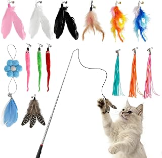 12 DIY Cat Toys That Will Keep Your Feline Entertained For Hours (You Won't Believe #6!) 177 Cat Wand Toy 15PCS 1 Stainless Steel Cat Wand and 14 Assorted Teasers In...