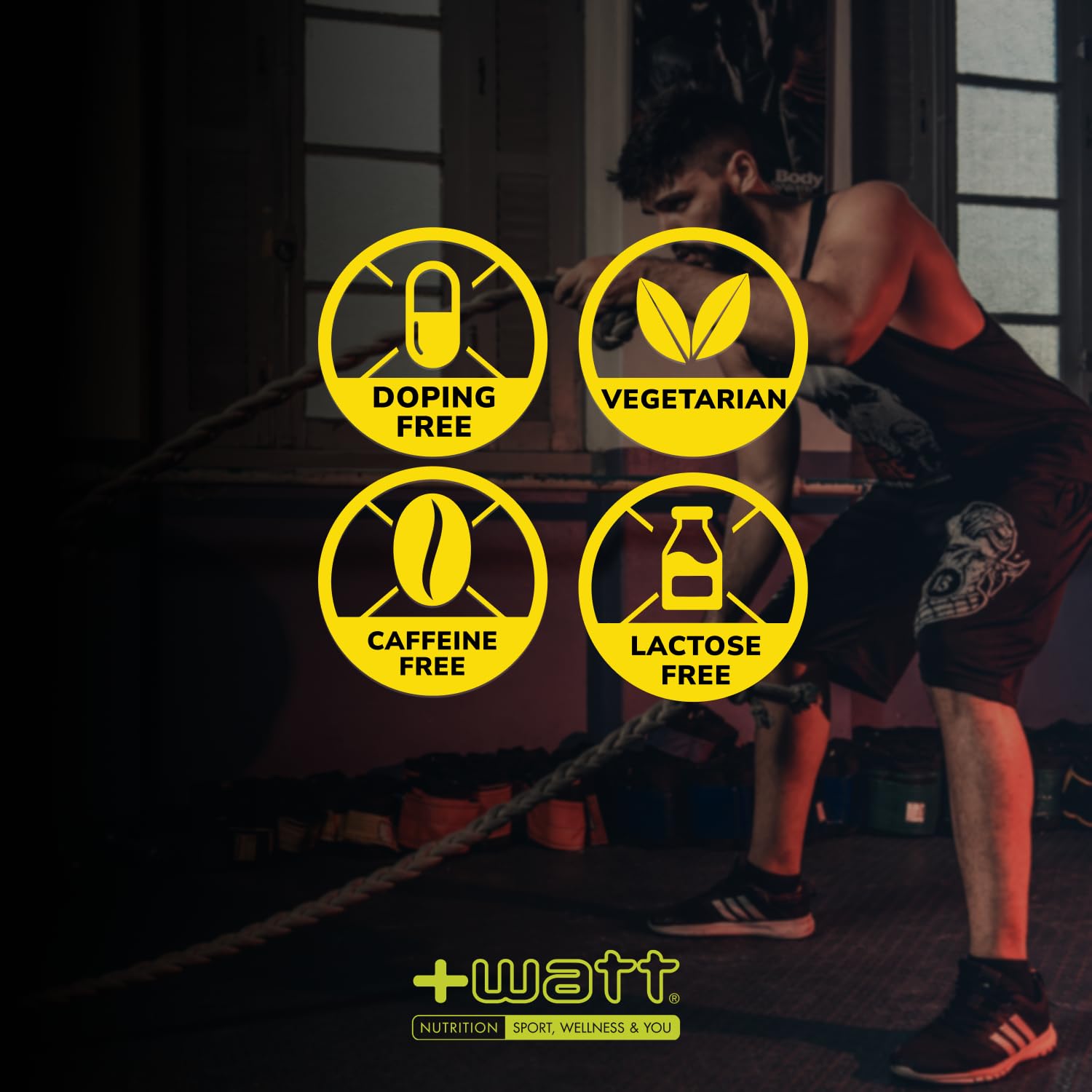 +WATT - Carbo Energy+ - Barretta Energetica a Base di Carboidrati al Gusto Frutta per Pre Work-Out o Durante l'Allenamento (Agrumi, Box 20 pezzi)