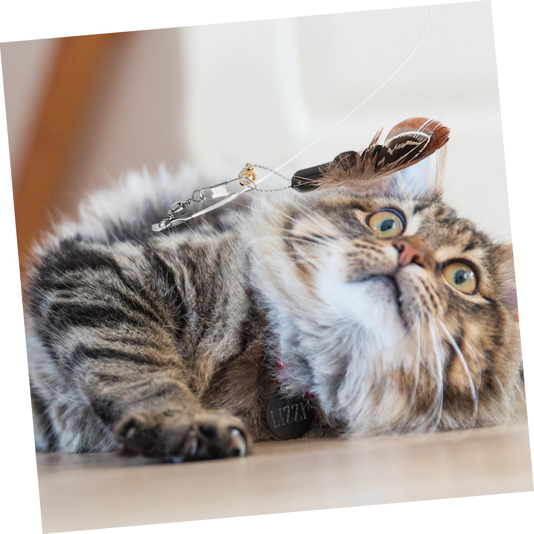 VANZACK 5 Ensembles Jouet pour Chat Interactive Cat Toy pièce jointe de Remplacement de de Chat Jouet de Chat drôle Chat Jouet Chat Teaser Jouets pour Chatons la Plume