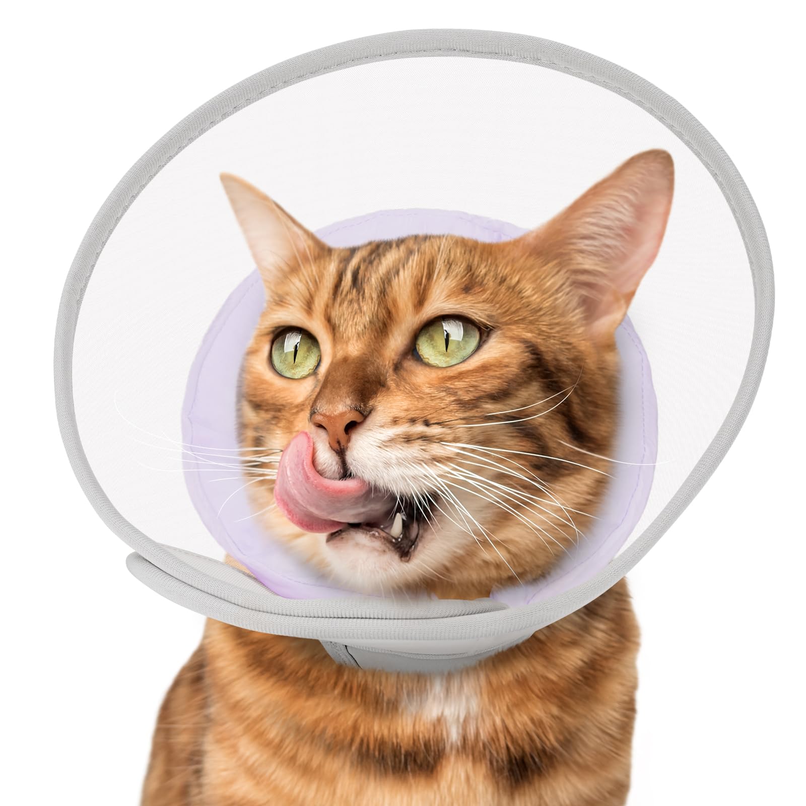 Collier de convalescence chat : cône de récupération étanche en maille