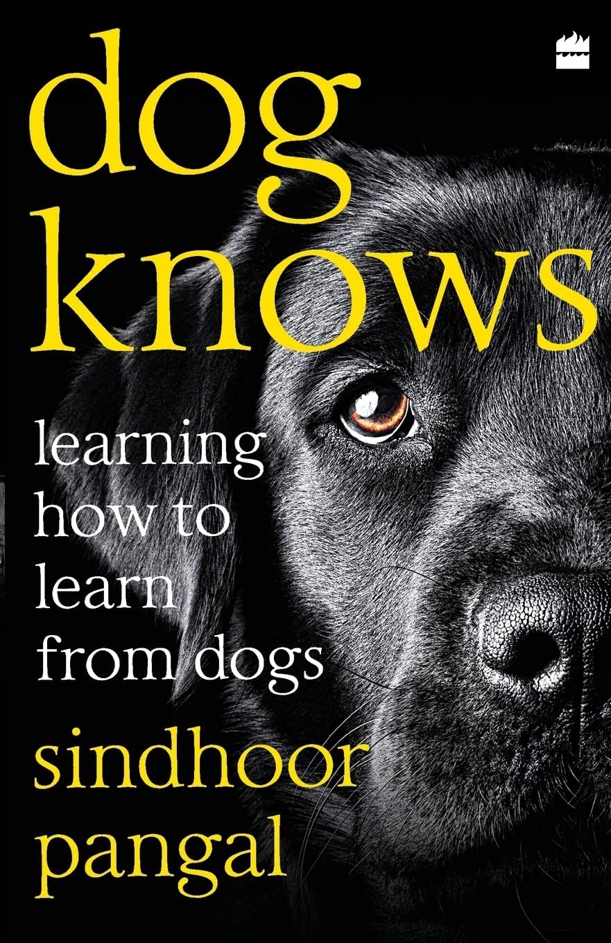 Dog Knows: Learning How to Learn from Dogs Paperback – 17 May 2021