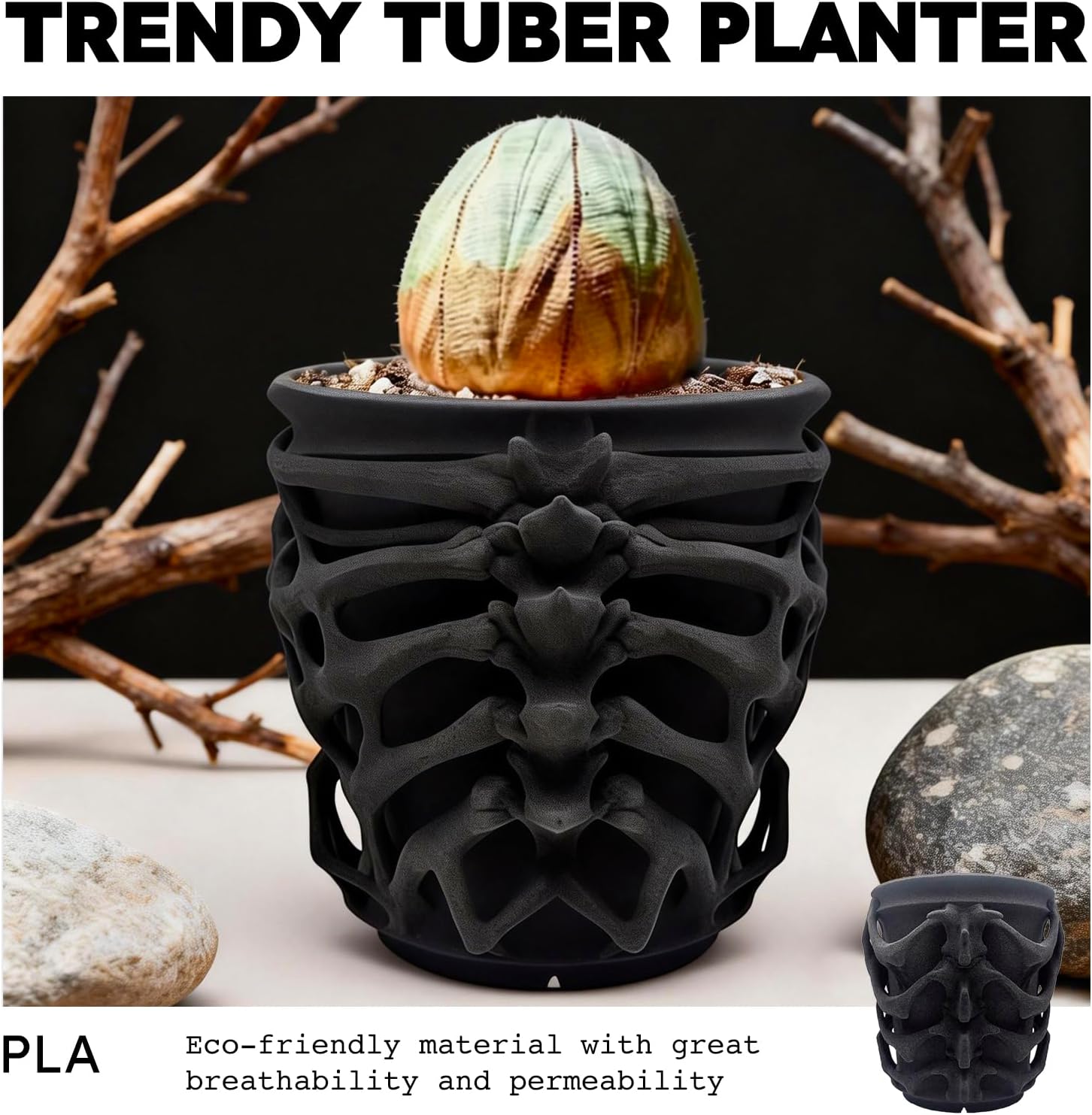 Black Succulent Pot, Creative Desktop Succulent Planter, Flower Pot for Succulents, Home Office Living Room Table Deco