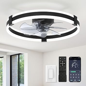 ZMISHIBO 23" Low Profile Fandelier LED Ceiling Fans with Lights and Remote