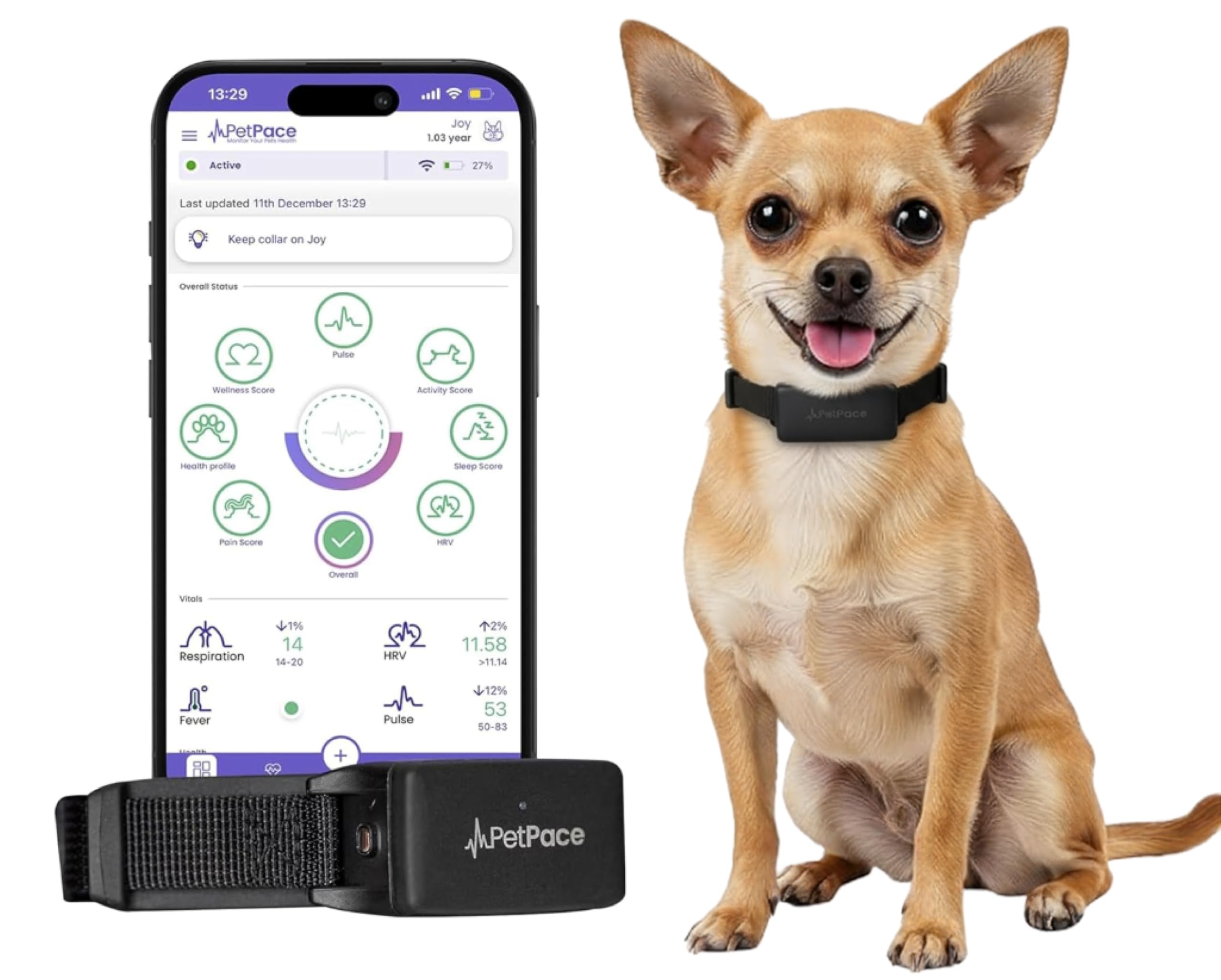NEW Dog Health Monitor V3.0 by PetPace – AI Smart Collar with 24/7 Vital Signs, Pain & GPS Tracking, Telehealth AskaVet & Share With Your Vet, Smartwatch Sync – Subscription Required (Small)