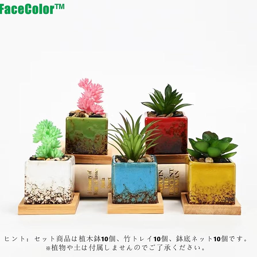 多肉植木鉢花柄2点セット✳︎テラコッタポット　プランター観葉植物 テラコッタ 植木鉢 おしゃれ プランター 人気 おすすめ 園芸鉢