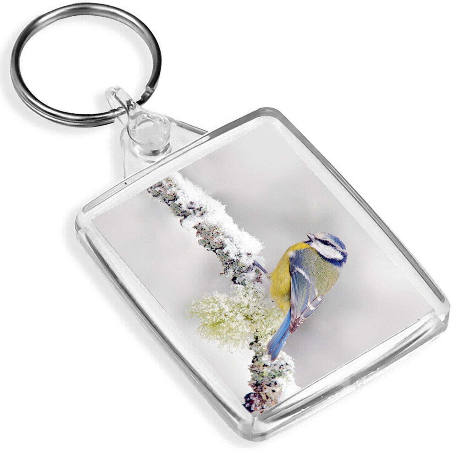 Destination Vinyl Keyrings Unisex Multi Beautiful Blue Tit Keyring Bird Winter Snow Pretty Keyring #15663