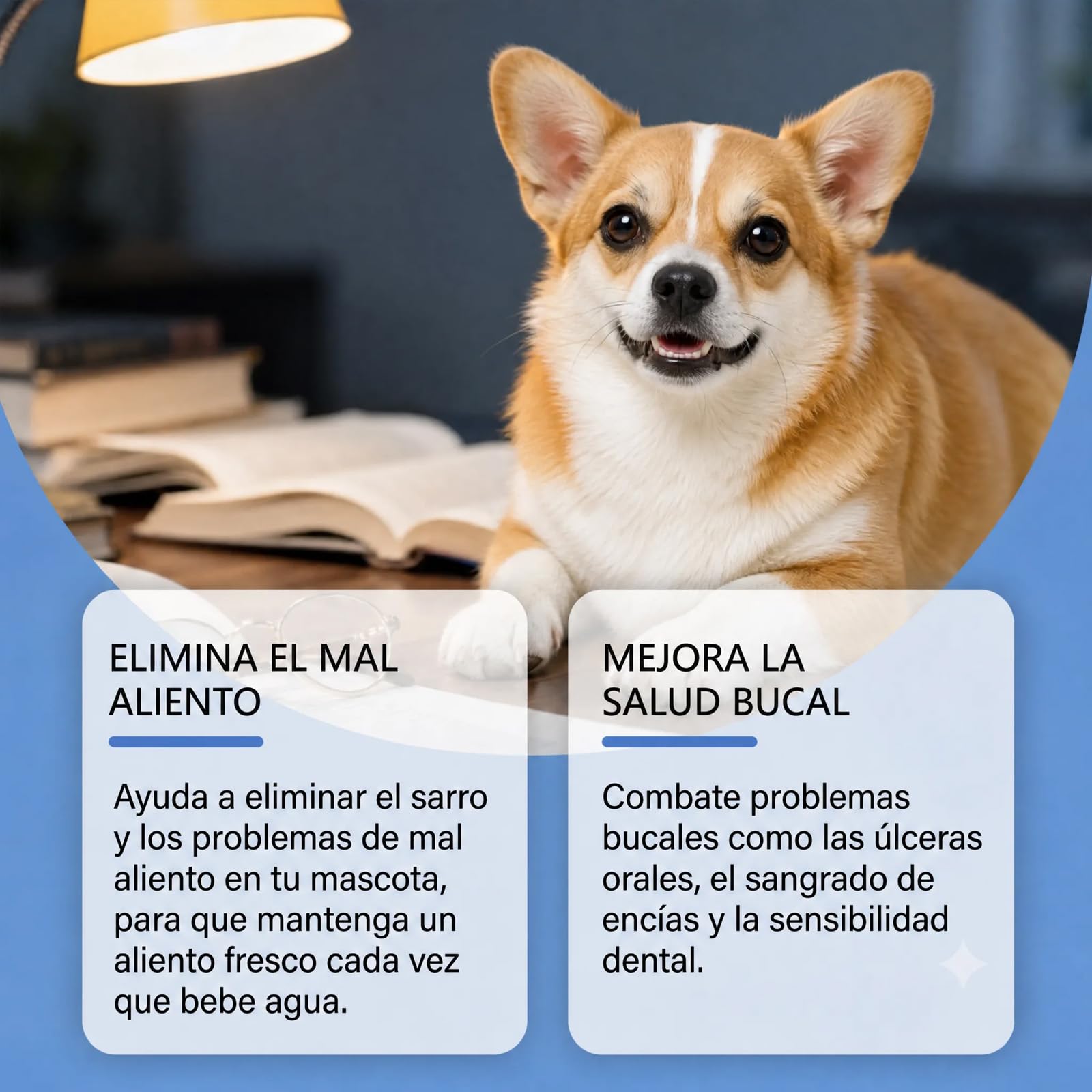 Genérico Balyxe Dental Perros Liquido, Balyxe Pet Dental Perros (para Perro,3 Unidad) | Fácil de Usar y Bebible, Elimina El Mal Aliento Ayuda a Mejorar la Ligiene Bucal y la Salud de las Encías en Perros y Gatos