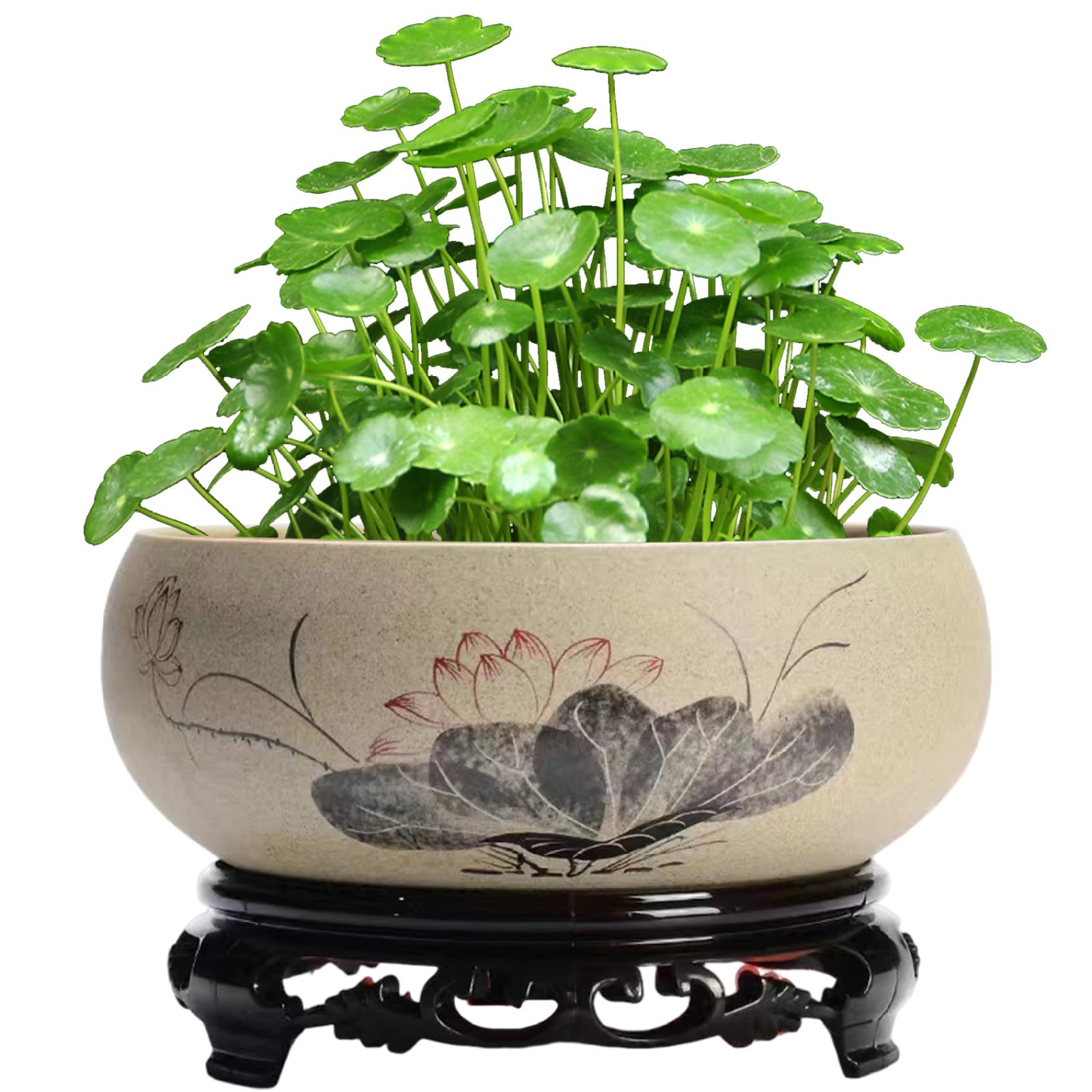 Bemonew Hydroponic Planter Bowl Planter 6.5x2.6 Lotus Pattern Ceramic Hydroponic with Plastic Base Exquisite & Rustic Plant Pot for Lotus, Water Lily & More