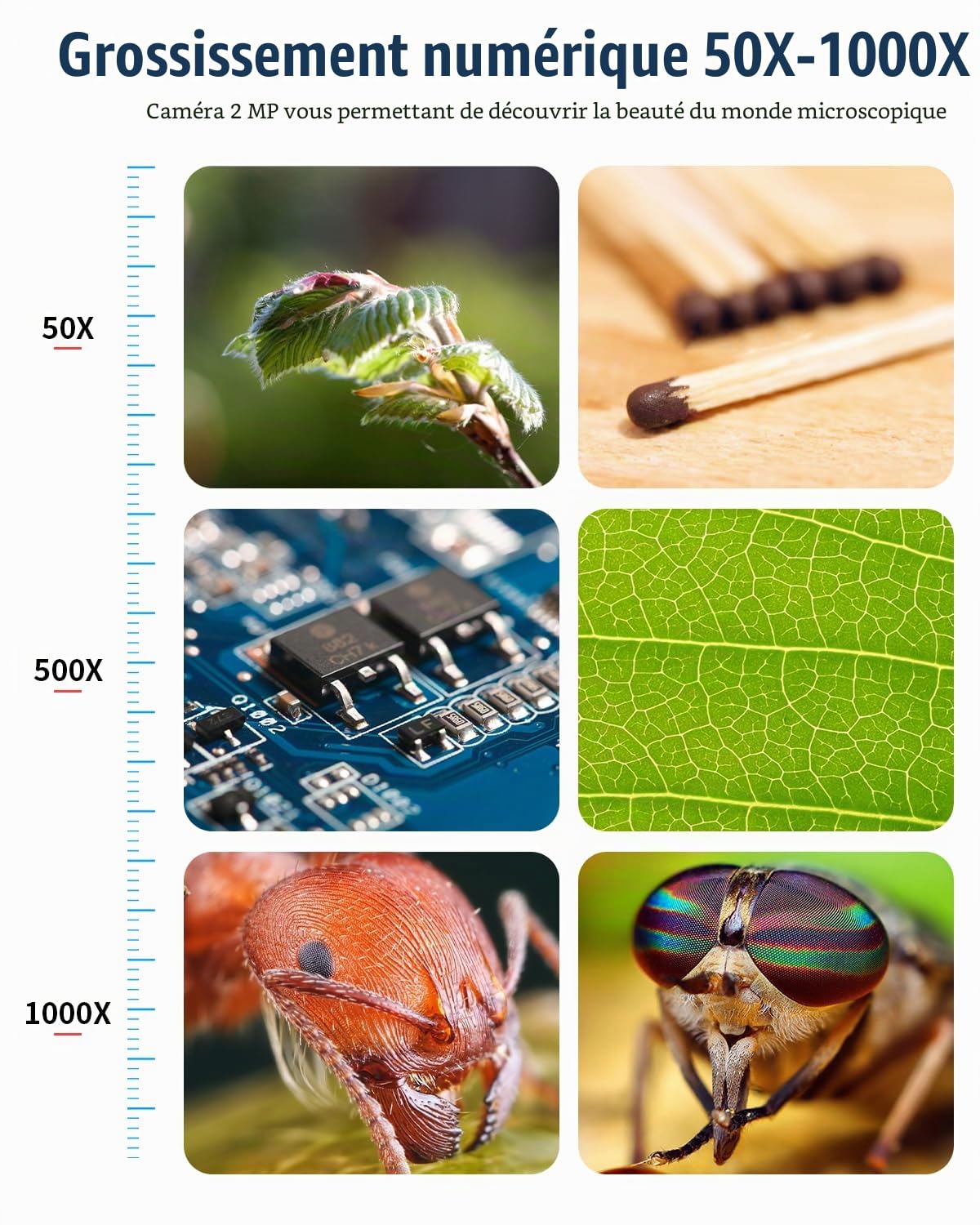 Microscope Numérique Enfant/Adulte, Loupe avec Un Écran de 4,3 Pouces et 8 LED, Grossissement 50x-1000x, Compatible avec Windows/Mac (306-B)
