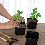 30Pcs 4" Pot de chambre de bébé avec des soucoupes Pots de plantation de fleurs noires, carrées