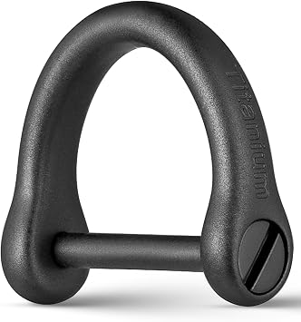 FEGVE Small Titanium Key Ring, D Ring Keychain for Car Key Fob | Gr5 titanium alloy, Rust & Corrosion Proof, Strong & Anti-Break, Ultra Light, Burden-Free