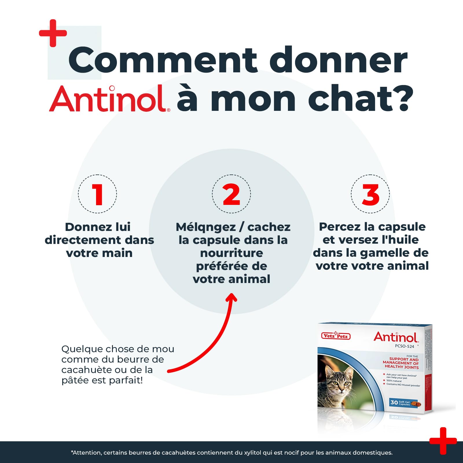 Antinol - Complément Naturel des Chats Adultes - cliniquement prouvé - soutient la mobilité des articulations et la santé de la Peau - avec des moules à lèvres Vertes, oméga 3 & VIT E - 90 Capsules