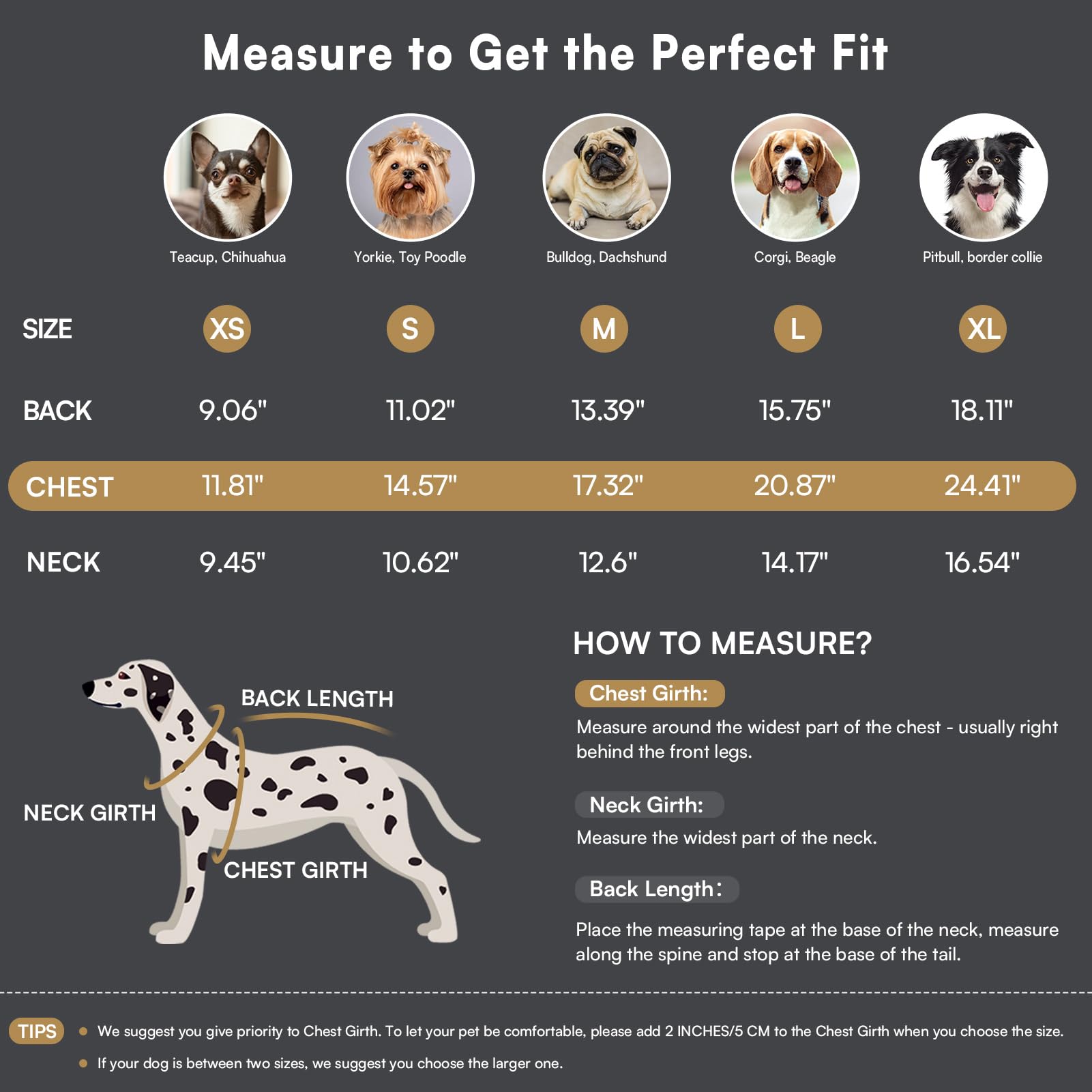 Queenmore Maglioni Natalizi per Cani, Morbida e Calda, Maglione Cane per Razze Medie come Cane Corso Jack Russell e Bassotto, Grigio, M