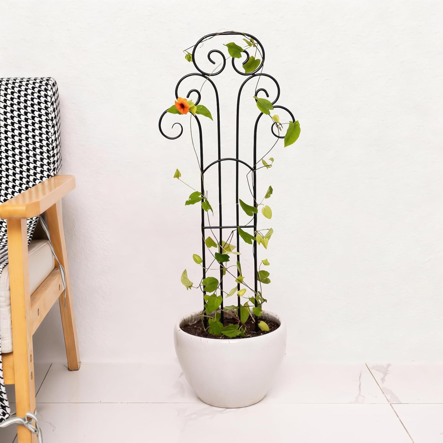 31 Inch Trellis for Potted Plants - Iron Plant Support for Climbing Vines and Houseplants, Ideal Garden Stake for Monstera and Medium Plants, Perfect for Indoor and Outdoor Use