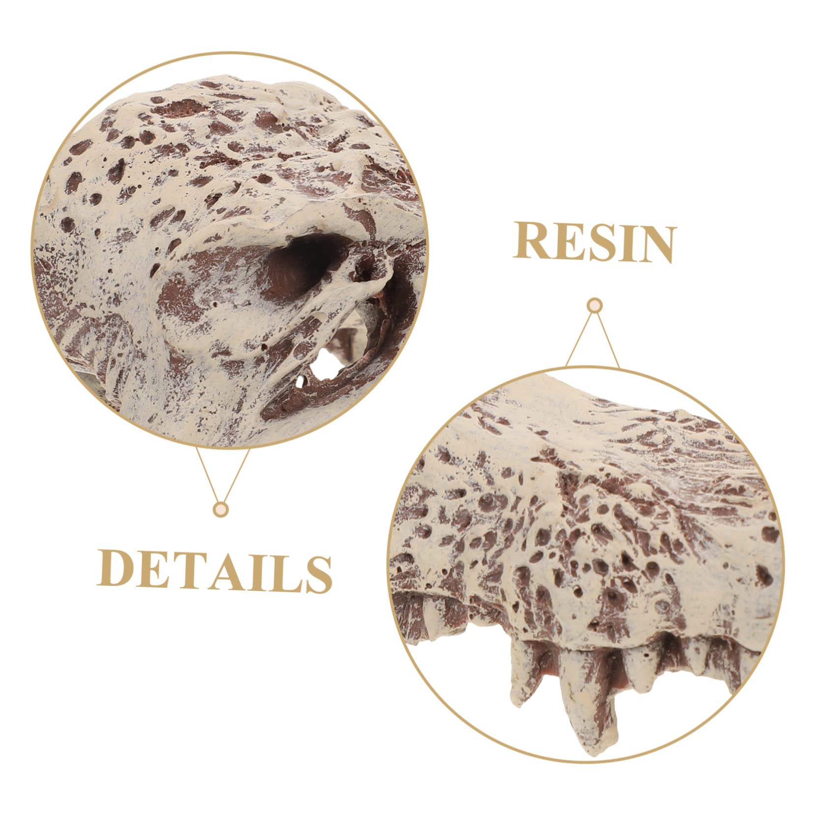 Décoration D’Aquarium Crâne en Résine Blanc pour Reptiles et Tortues | Halloween, Cachette et Escalade, Aspect pour Terrarium, Modèle Unique au Rendu Vivant