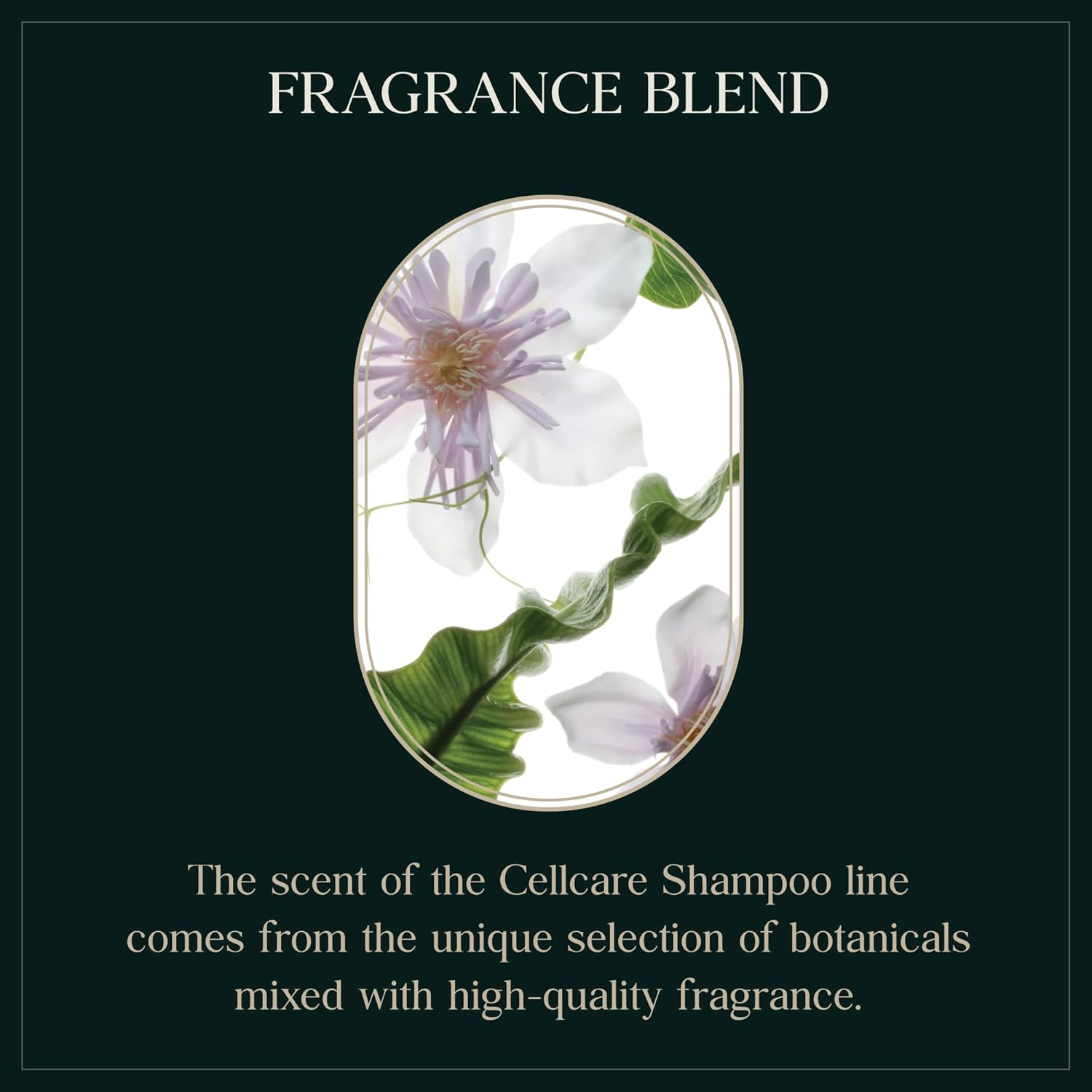 Rebalancing Botanic Cellcare Shampoo 500ml, 16.90 fl oz | Sulfate-Free, Paraben-Free and Color-Safe | pH Balancing - Image 6