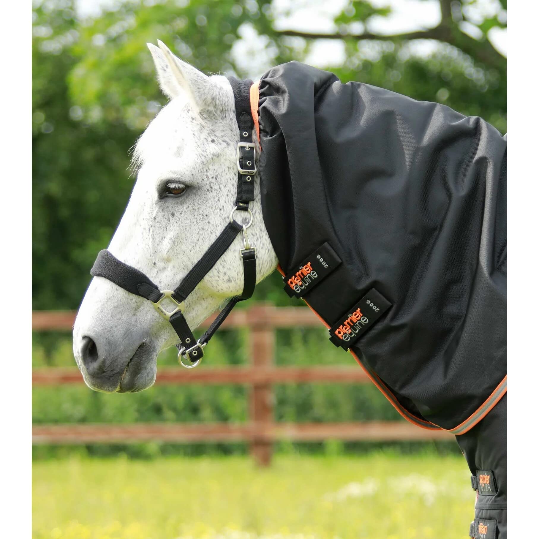Coperta per cavalli da esterno con copricollo Premier Equine Titan 300 g