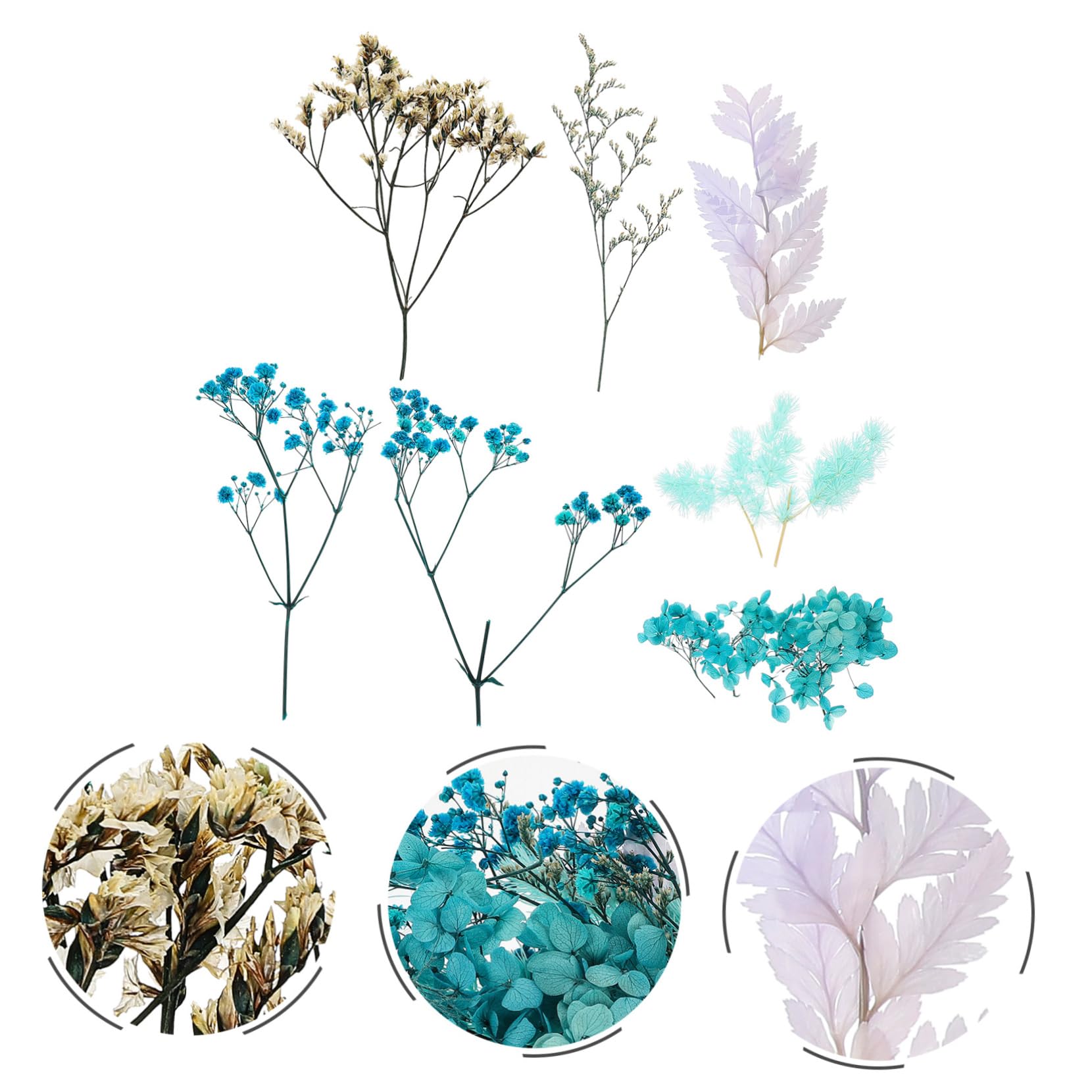 Abaodam 5sets Materiali Per Fiori Secchi Kit Per Decorazioni Artigianali Per Candele Aromatiche e Scrapbooking Fiori Pressati Naturali