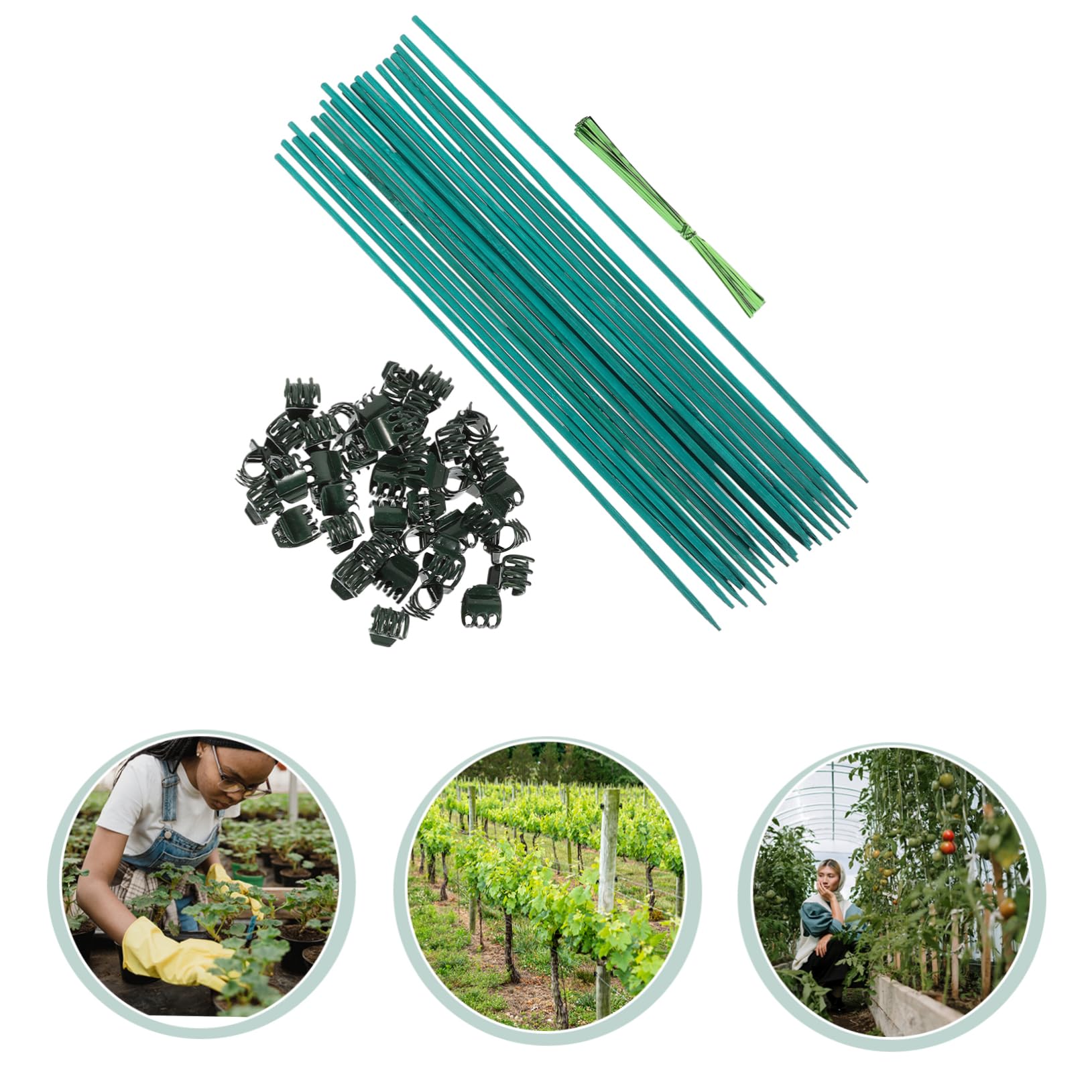 Milisten 3 Sets Pflanzen Bambusstab Blumenarrangementstab Blumenarrangementstab Pflanzenständer Blumen Und Rankenklammern Pflanzenspalier Pflanzenstäbe Unterstützung LED