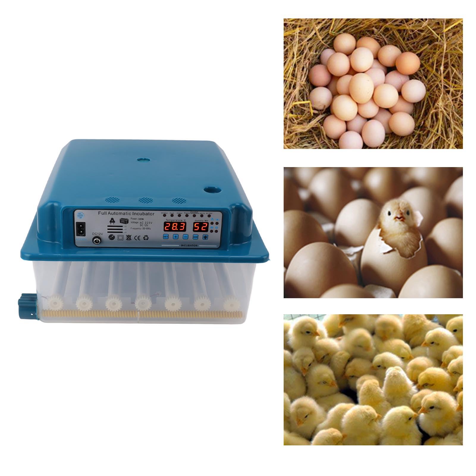 36 Huevos Incubadora ABS Máquina de Incubación de Aves de Corral Digital con Control Automático de Temperatura Sistema Eléctrico Dual para Pollos Ganso Pato Azul (Enchufe