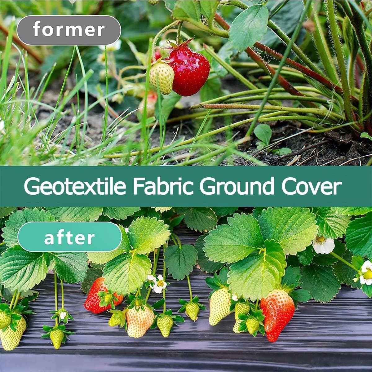EPANO LXXW Malla Antihierbas Geotextil de la Tela del Paisaje de la Cubierta del Suelo del Control de Malas Hierbas del jardín for Cultivar un huerto, cultivando, Agricultura(1.52x15m/5x50ft)