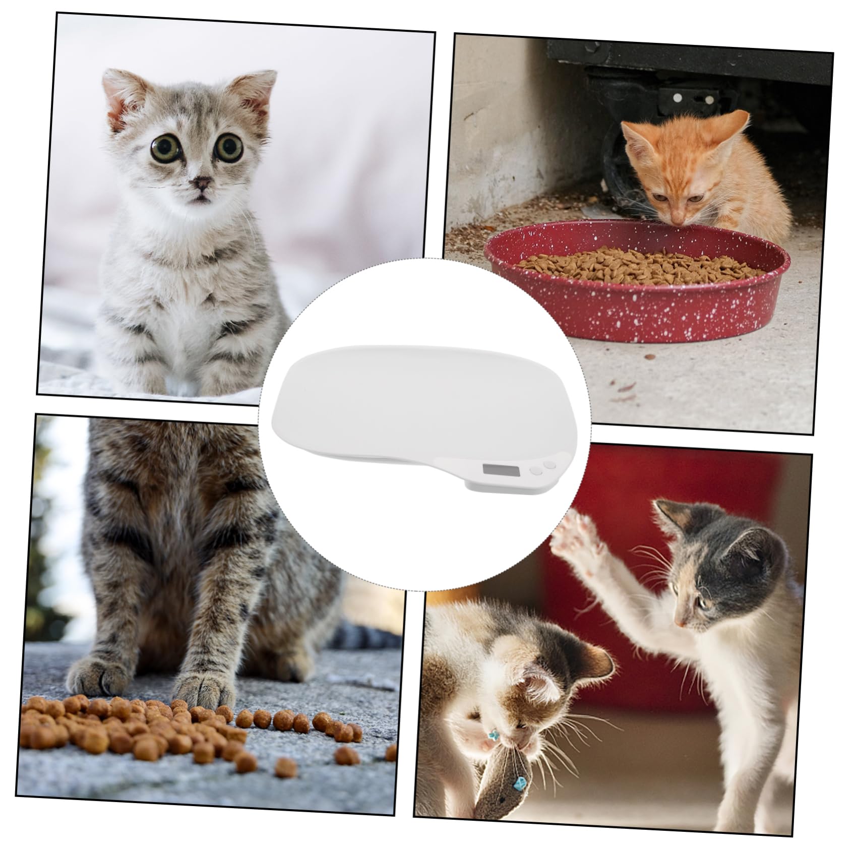 POPETPOP Digital Pet Scale for Small Animals Accurate Weighting Tool for Pet Supplies