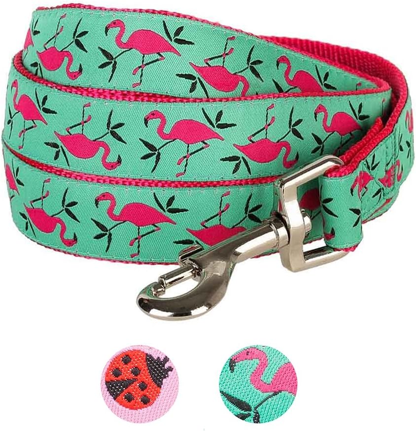 Blueberry Pet Essentials 2 Patterns Durable Pink Flamingo on Light Emerald Dog Leash 4 ft x 1", Large, Basic Nylon Leashes for Dogs