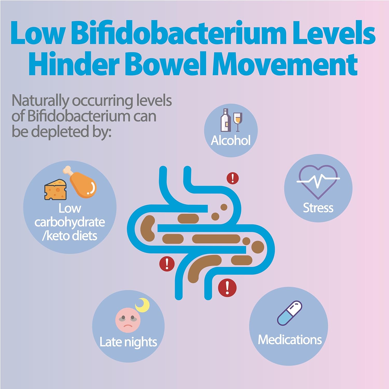 Life-Space Bowel Biotic Probiotics for Regularity, 2-Month Serving, 20 Billion CFU & 5 Strains, Support Bowel Movement & Digestive Health, Probiotics for Women and Men, 60 Vegetarian Capsules