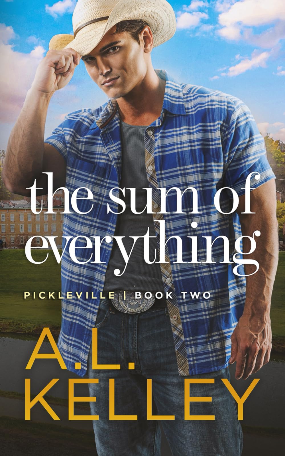 The Sum of Everything: A Small Town Cowboy Romance: 2 (Pickleville)