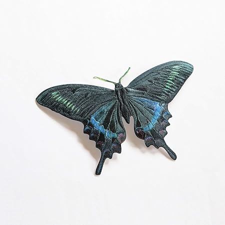 Amazon ミヤマカラスアゲハ ワッペン せと刺繍 刺繍 標本 昆虫 蝶 Wappen リアル刺繍 ワッペン アップリケ 通販
