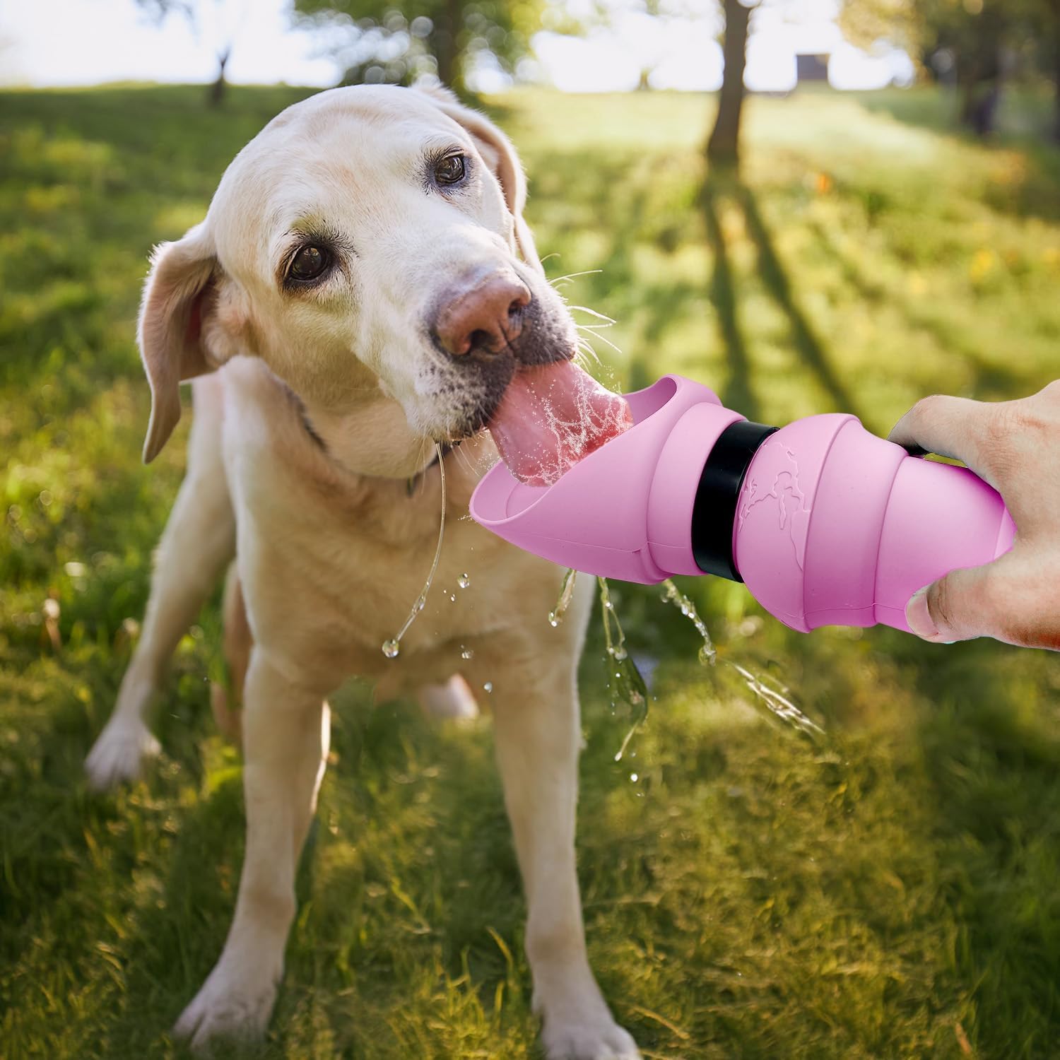 Portable Dog Water Bottle, Collapsible Dog Water Dispenser | Leak Proof Dog Travel Water Bottle | Dog Water Bottle Portable for Outdoor Walking, Hiking, Travel | 19oz (Baby Pink, 19 oz)