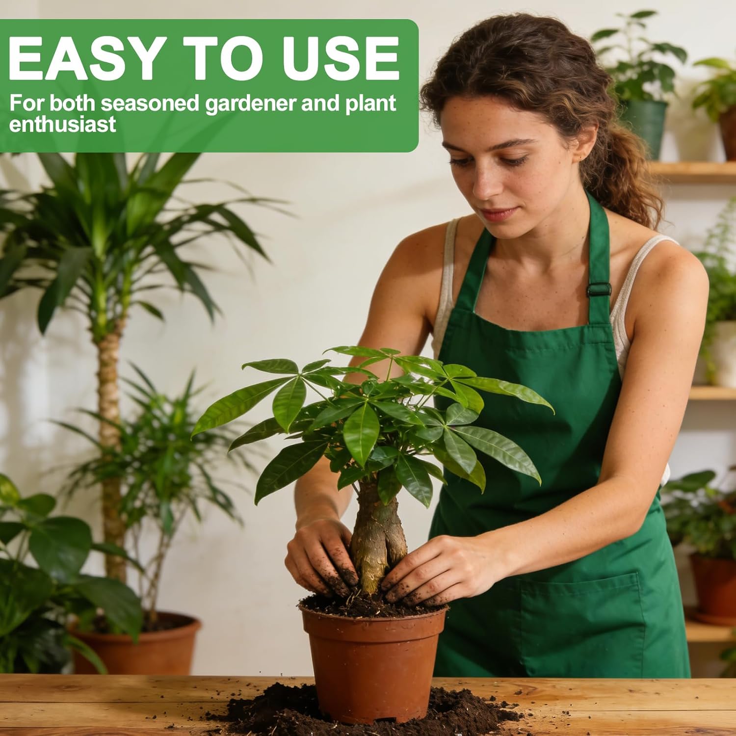 All-Natural Money Tree Soil & Indoor Potting Mix 10QT - Drainage-Enhanced Plant Soil for Healthy Indoor Plants