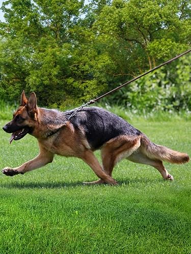 Miniatura 2 de Correa de cuero para perro, correa de cuero trenzada de 5 pies6 pies8 pies para perros, correas resistentes con cierre giratorio, correa de