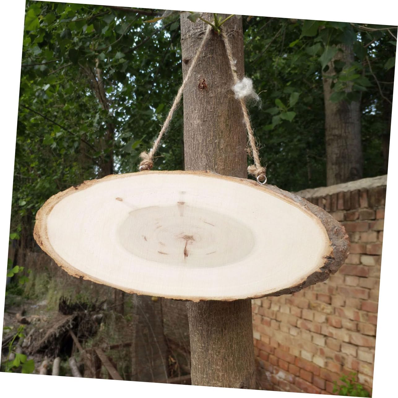 5Pcs Oval Pine Wooden Hanging Board DIY Blank Display Board for Messages Wall Decor and Crafts Lightweight Material for Home Garden