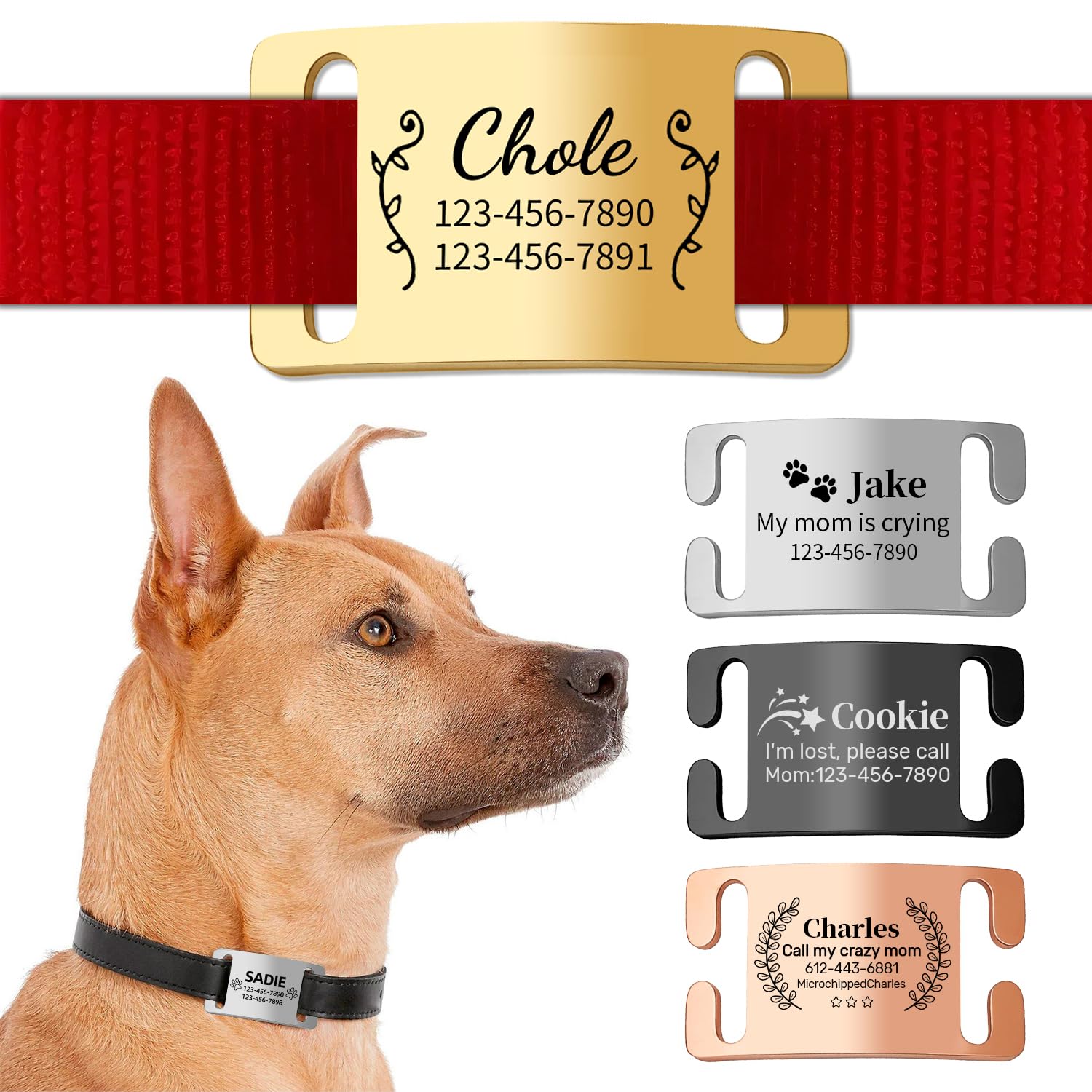 Personalised Dog Tags for Pets Engraved Name Tags, ID Tag, Slide-on Dog Collar Tags - Personalised Dog Identity Tag for Collar,Custom Dog Tags Silent