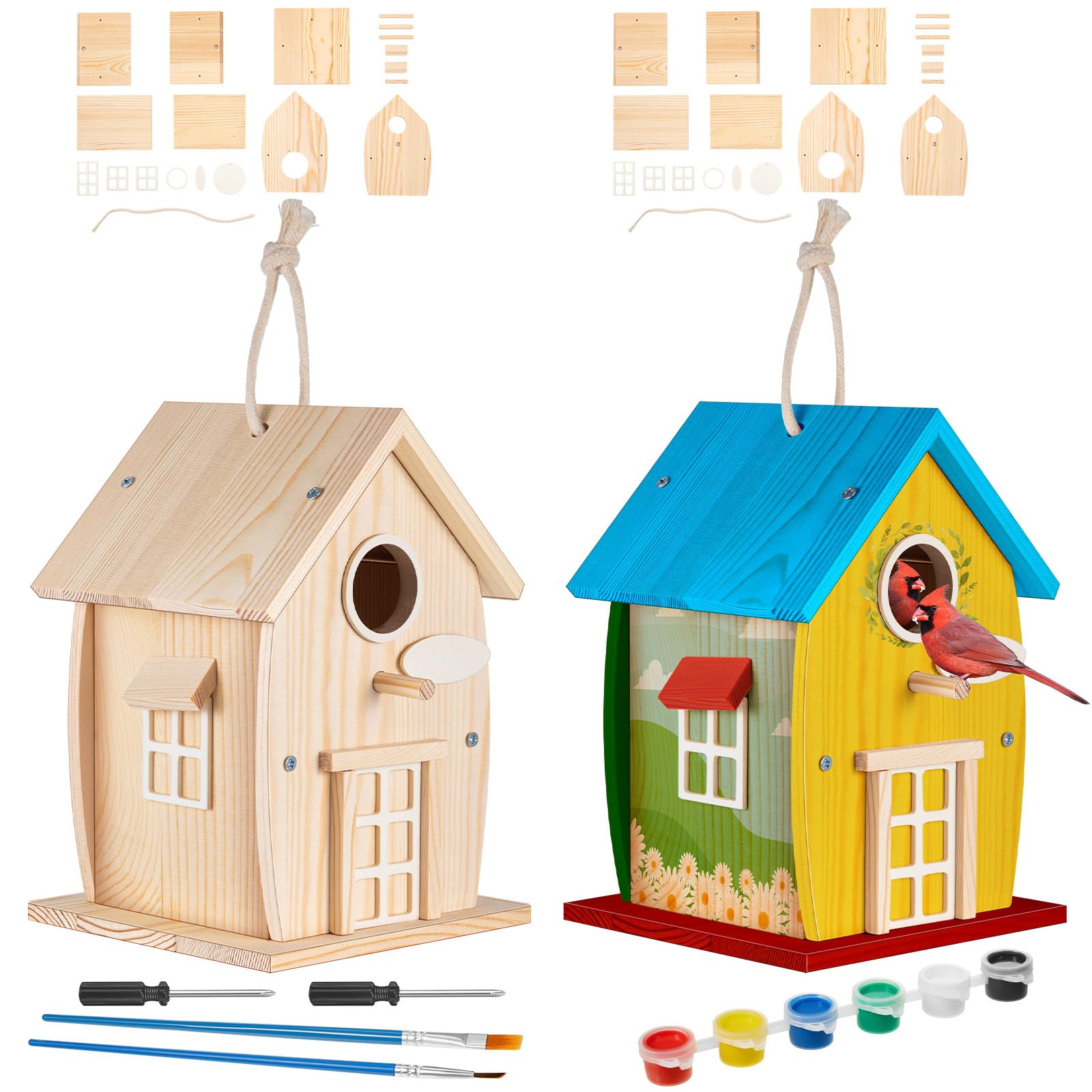 Liliful 2 Pack Wooden Bird House Kits for Kids, Rural Style