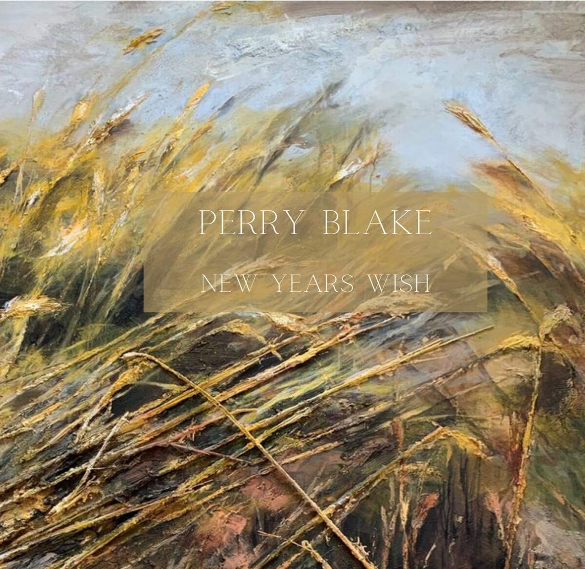 New Years Wish, Perry Blake, New