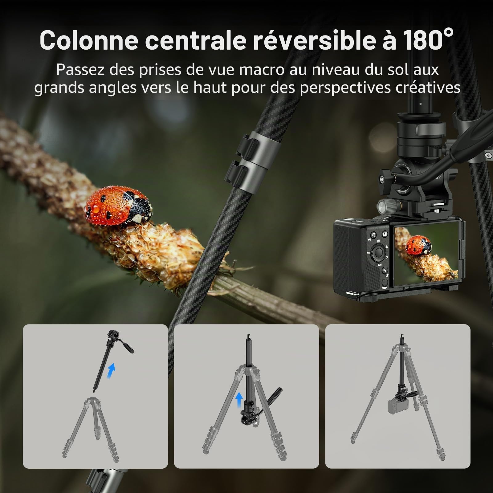 SMALLRIG 160 cm Trépied de Voyage Portable pour iPhone et Appareil Photo, Trépied Vidéo en Fibre de Carbone, Format Compact (52 cm), 3 kg Charge, Tête Fluide pour la Photographie en Extérieur - 5477