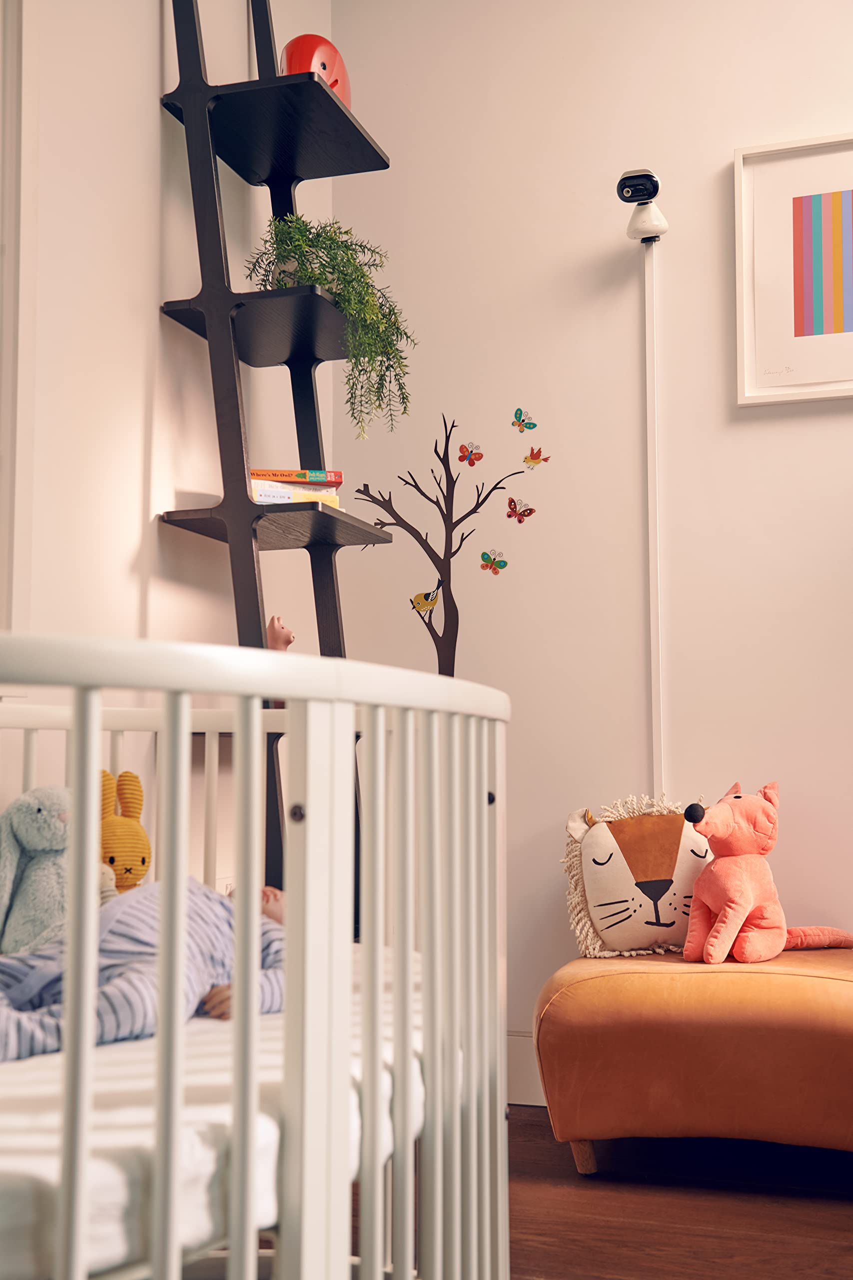 Motorola Nursery PIP1500 Vigilabebés con Cámara, Unidad de Padres de 5 pulgadas, Comunicación Bidireccional, Temperatura Ambiente, Visión Nocturna por Infrarrojos, Alcance de 300 m