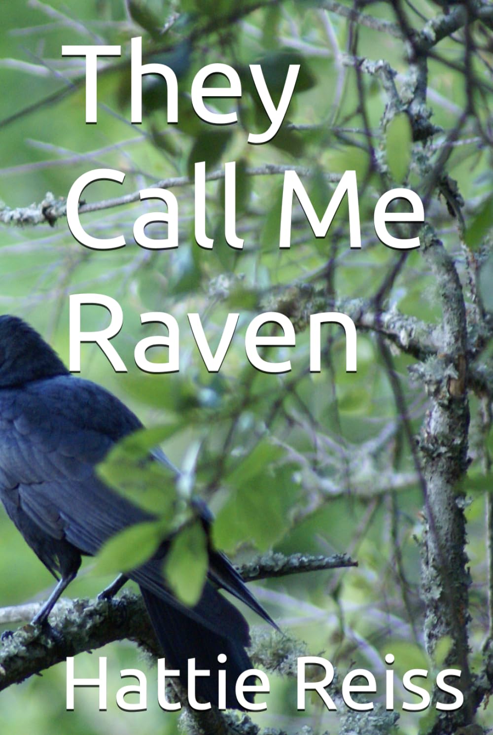 They Call Me Raven