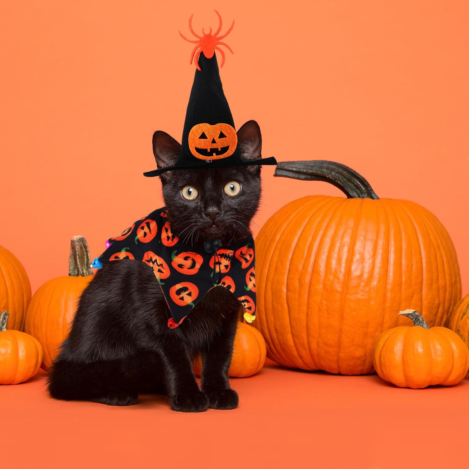 Abbylike 8 Pcs Cat Halloween Costume Witch Hat and Tutu Collar with Bells for Cat Halloween Witch Pet Costume Accessories for Small Kitten Dog Cosplay Party Decor